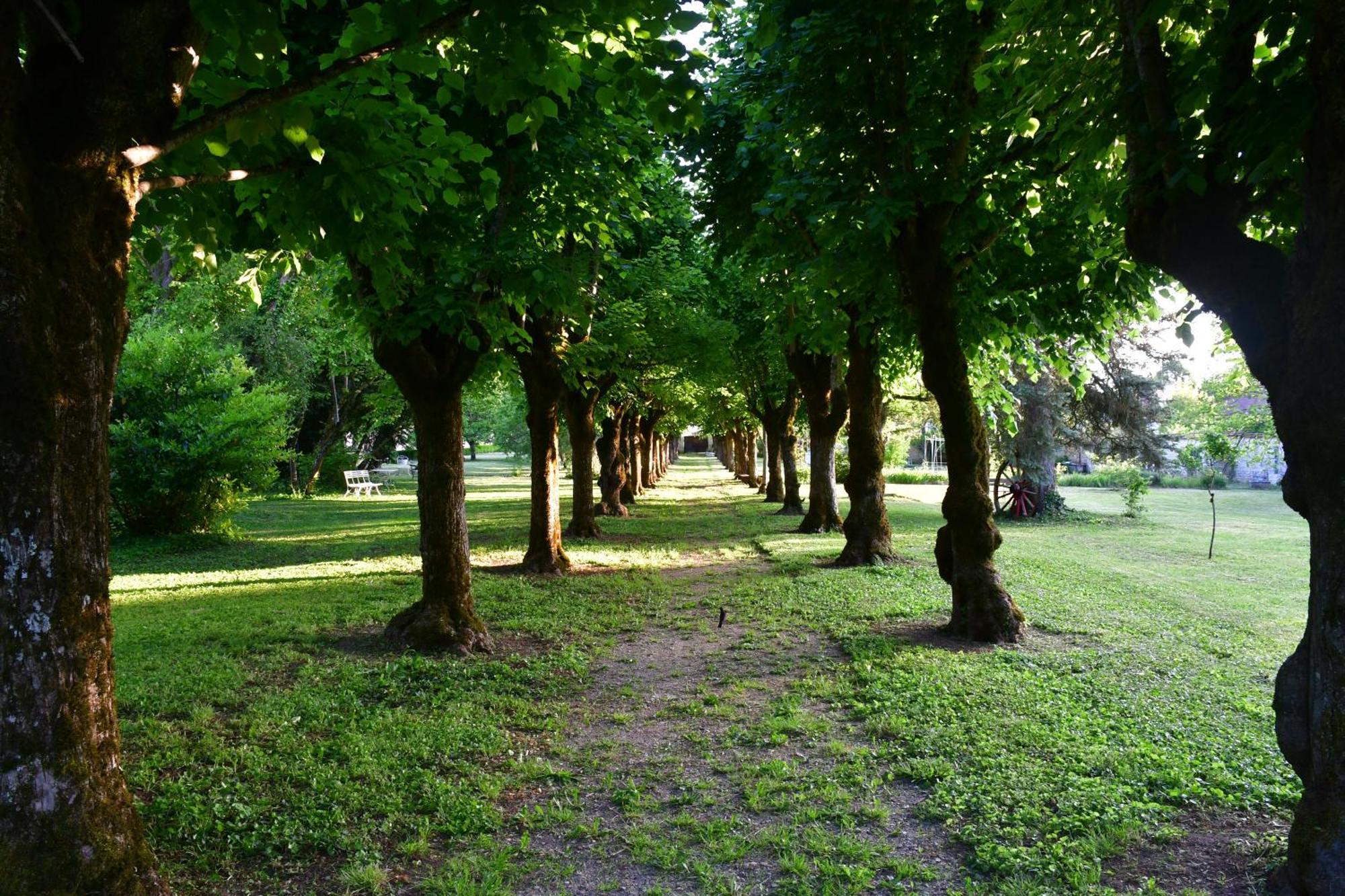 Le Val Clos, Appartement Dans Une Maison De Maitre 19E Tanlay Экстерьер фото